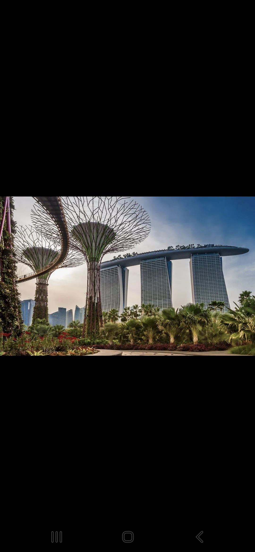 Singapore customer memory