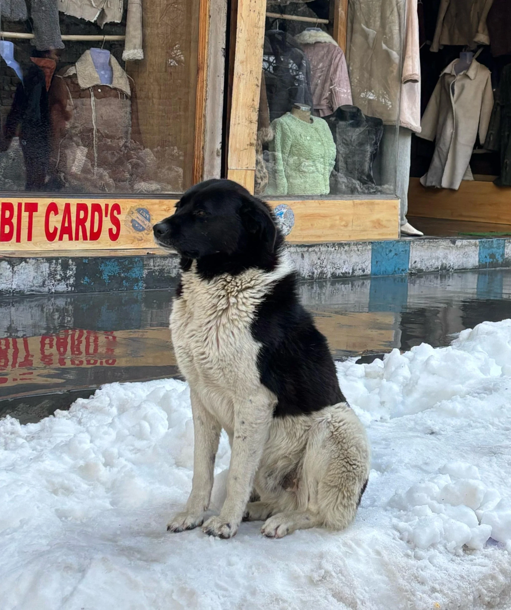 Manali customer travel memory 3