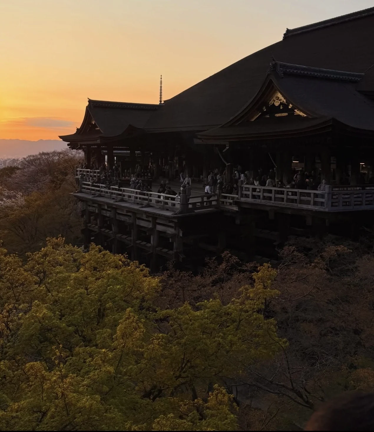 Japan customer travel memory 2