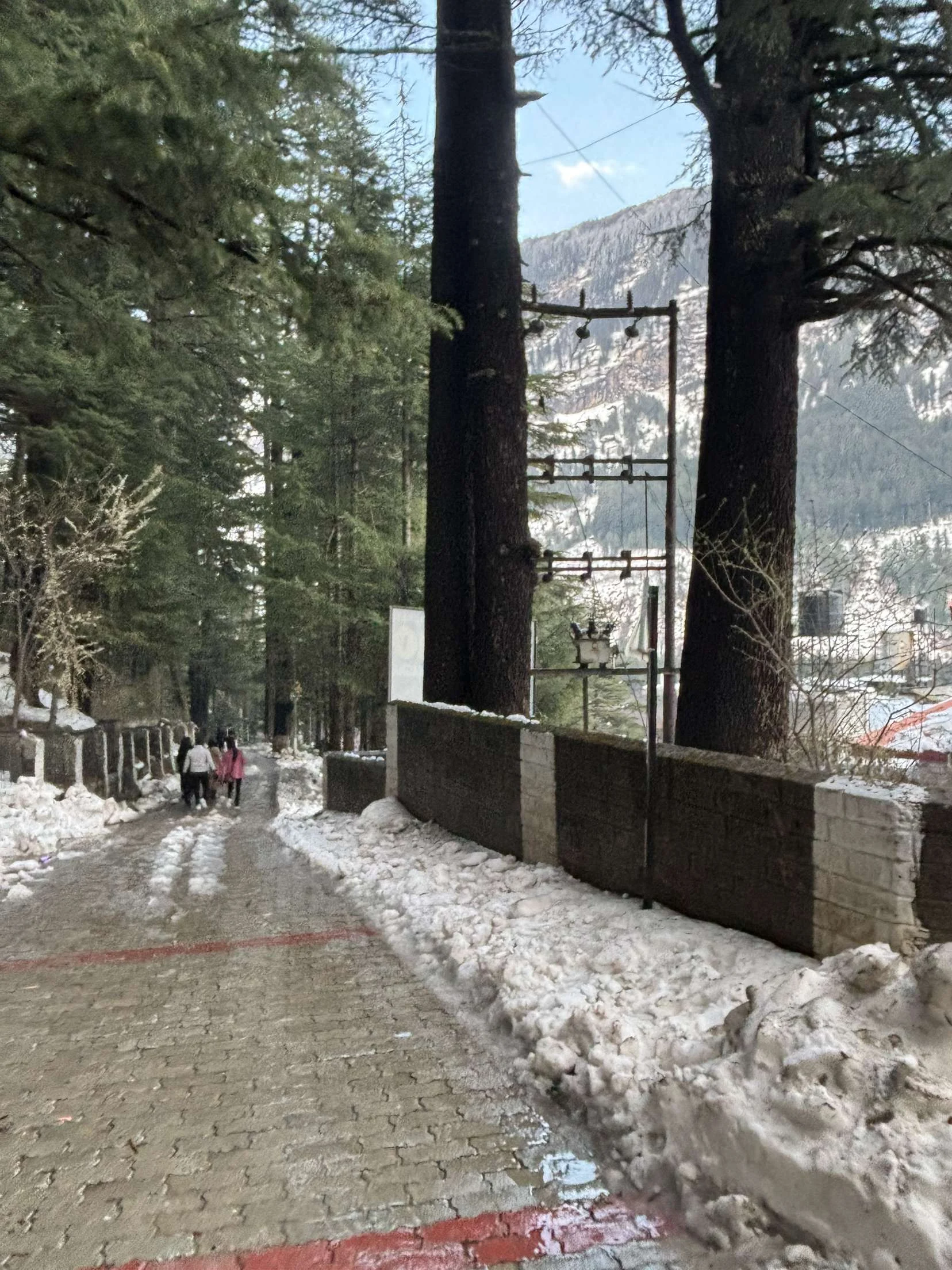 Manali customer travel memory 7