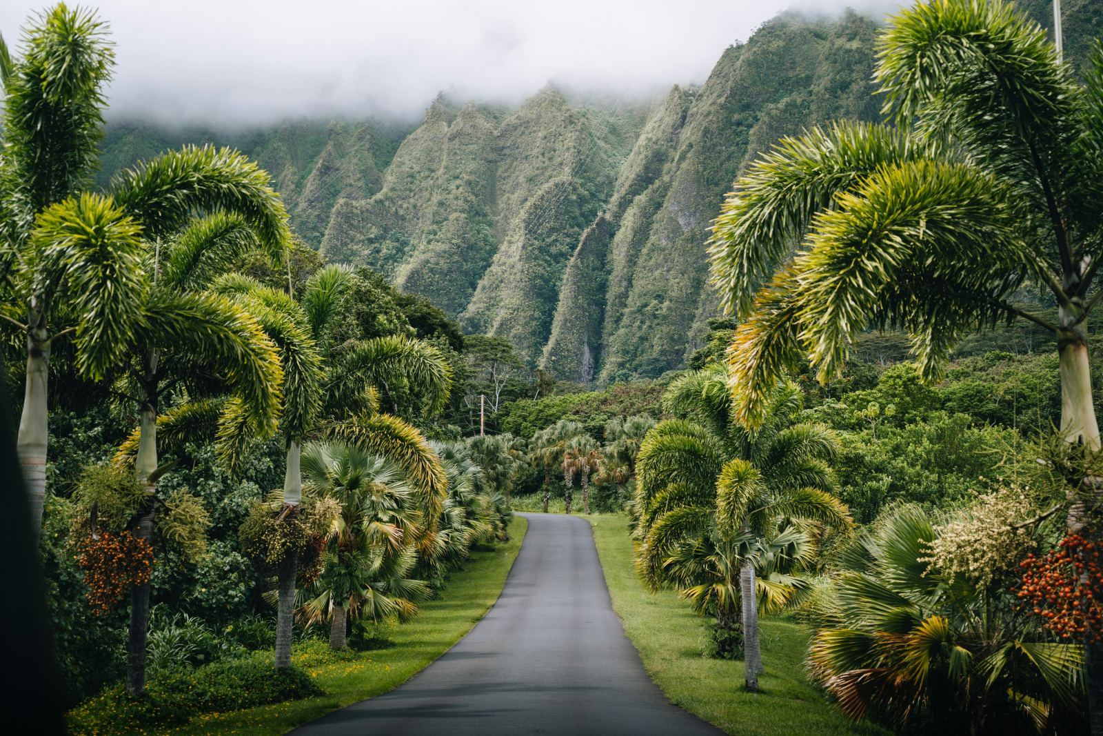 New York & Orlando: Tailor-Made USA Route from India